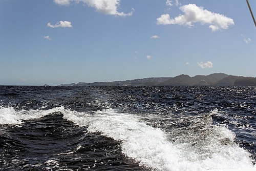 cruise14 (708)
